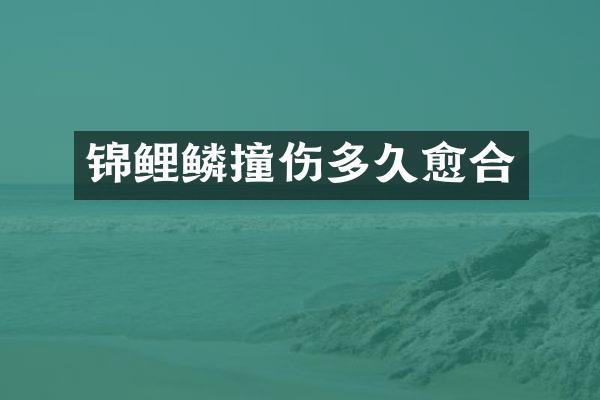 锦鲤鳞撞伤多久愈合