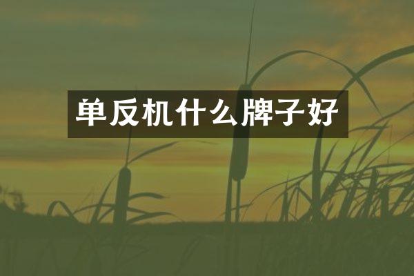 单反机什么牌子好