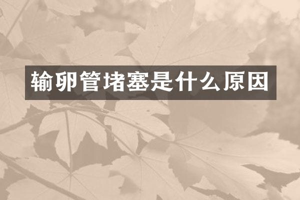 输卵管堵塞是什么原因