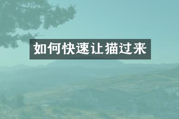 如何快速让猫过来