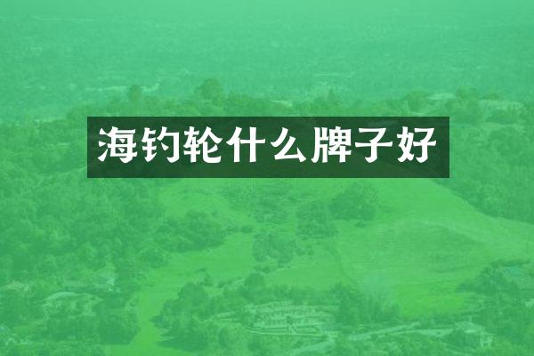 海钓轮什么牌子好