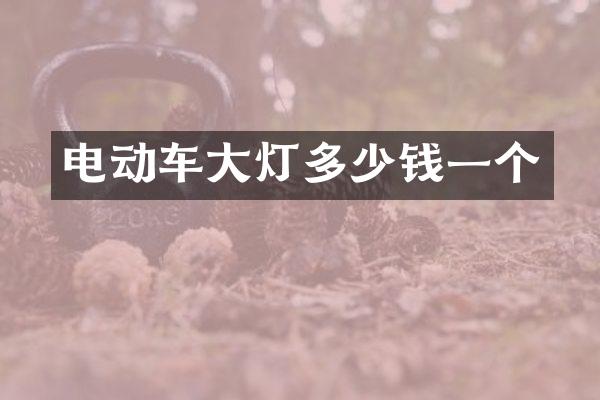 电动车大灯多少钱一个