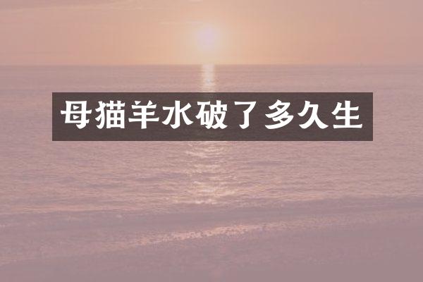 母猫羊水破了多久生