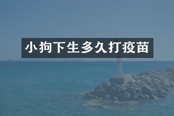 小狗下生多久打疫苗