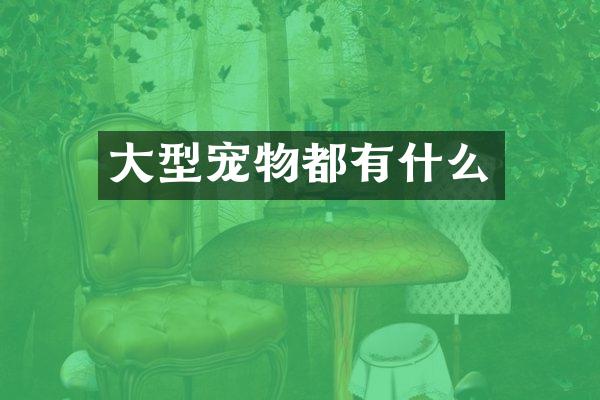 大型宠物都有什么