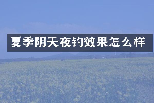 夏季阴天夜钓效果怎么样