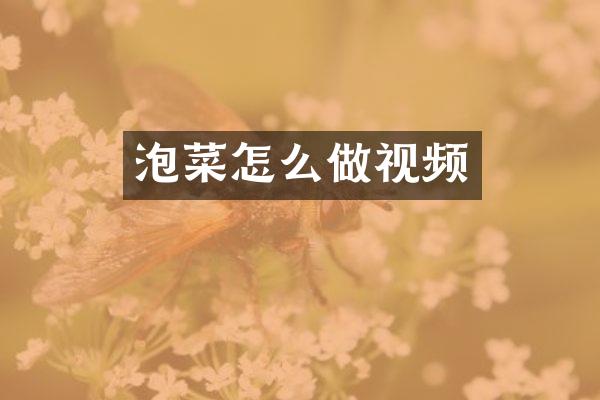 泡菜怎么做视频