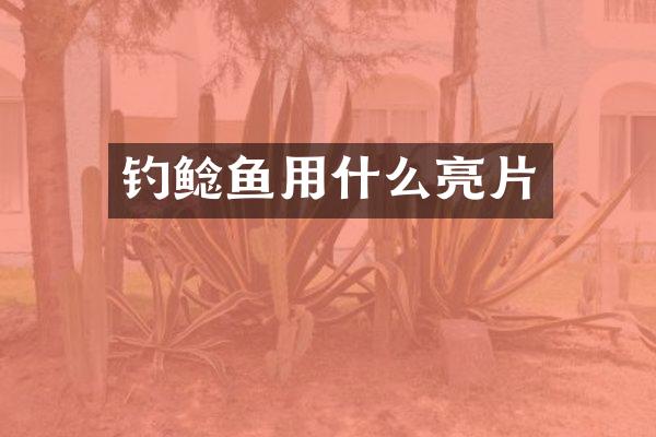 钓鲶鱼用什么亮片