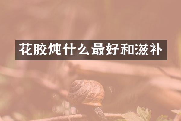 花胶炖什么最好和滋补