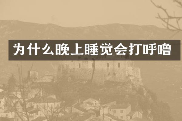 为什么晚上睡觉会打呼噜