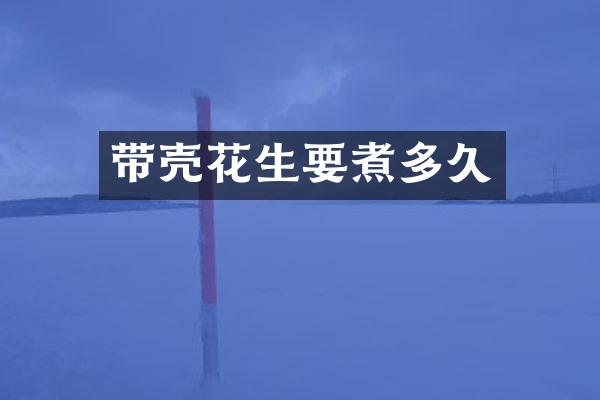 带壳花生要煮多久