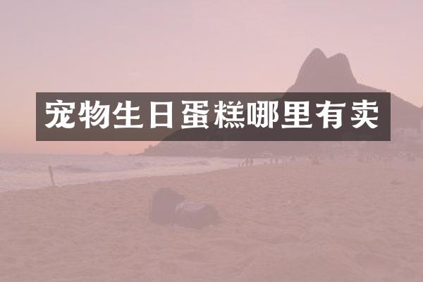 宠物生日蛋糕哪里有卖