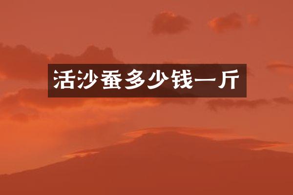 活沙蚕多少钱一斤