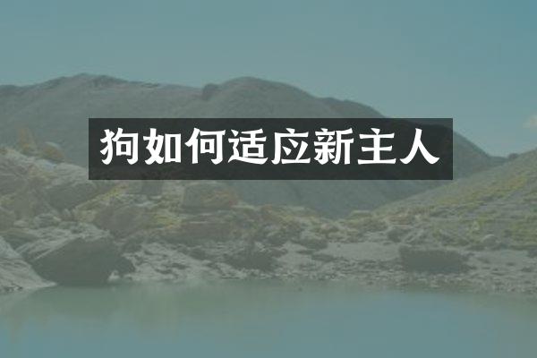 狗如何适应新主人