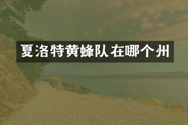 夏洛特黄蜂队在哪个州