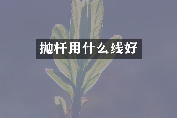 抛杆用什么线好