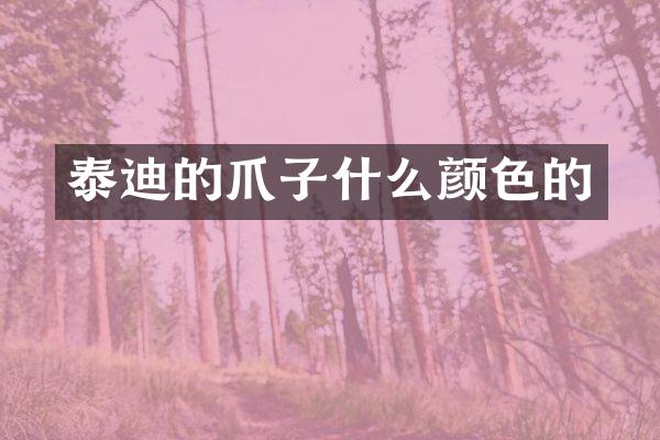 泰迪的爪子什么颜色的