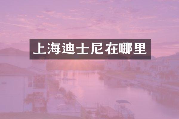 上海迪士尼在哪里