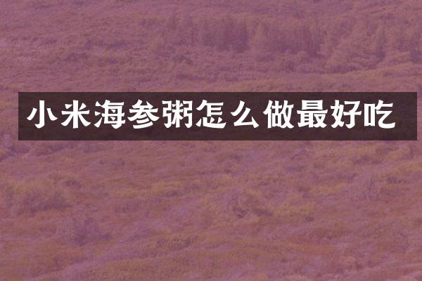 小米海参粥怎么做最好吃