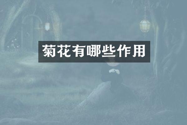 菊花有哪些作用