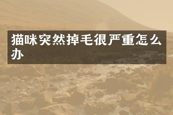 猫咪突然掉毛很严重怎么办