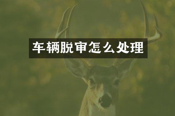车辆脱审怎么处理
