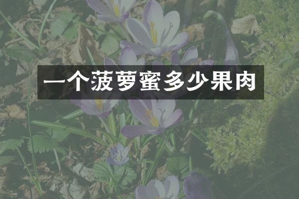 一个菠萝蜜多少果肉