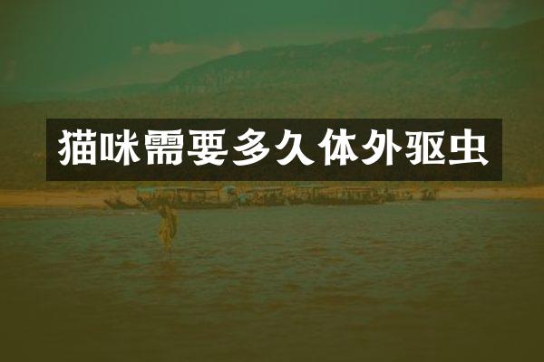 猫咪需要多久体外驱虫