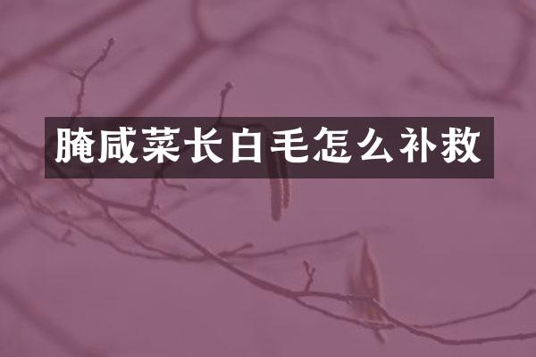 腌咸菜长白毛怎么补救