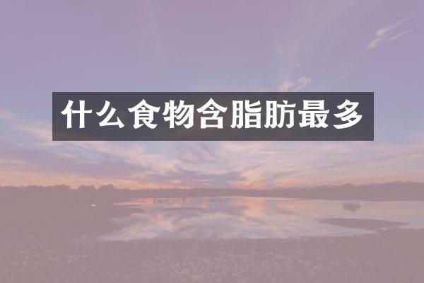 什么食物含脂肪最多