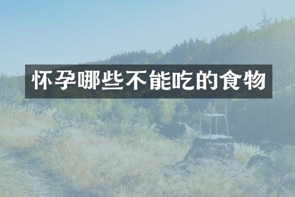 怀孕哪些不能吃的食物