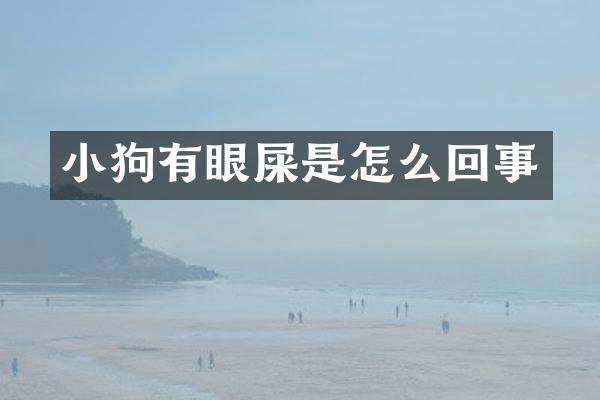 小狗有眼屎是怎么回事