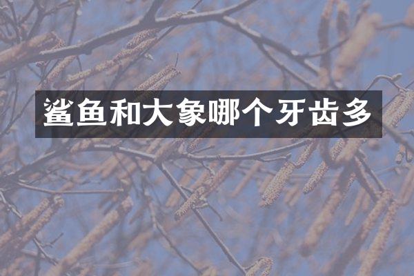 鲨鱼和大象哪个牙齿多