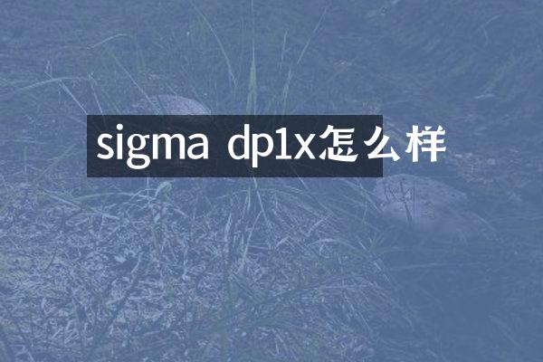 sigma dp1x怎么样