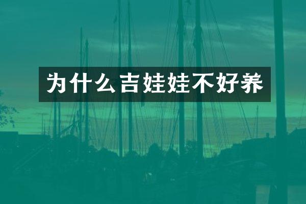 为什么吉娃娃不好养