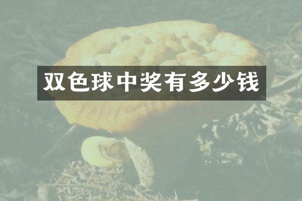 双色球中奖有多少钱