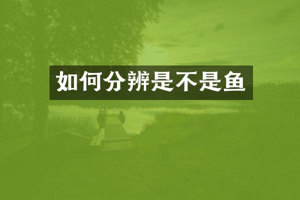 如何分辨是不是鱼