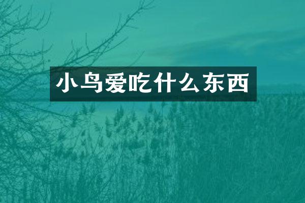 小鸟爱吃什么东西