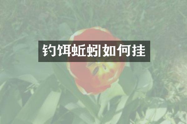 钓饵蚯蚓如何挂