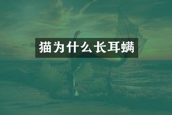 猫为什么长耳螨
