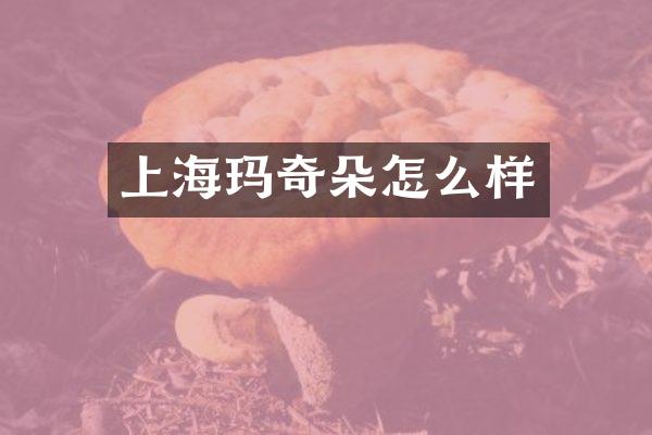 上海玛奇朵怎么样