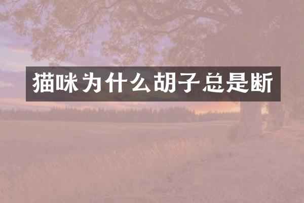 猫咪为什么胡子总是断