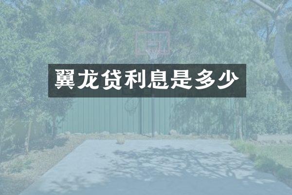 翼龙贷利息是多少