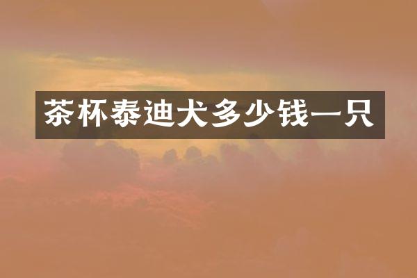 茶杯泰迪犬多少钱一只