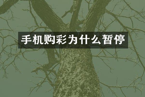 手机购彩为什么暂停