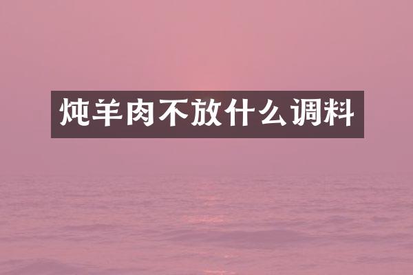 炖羊肉不放什么调料