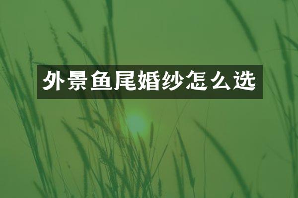 外景鱼尾婚纱怎么选