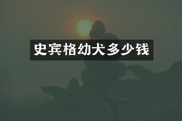 史宾格幼犬多少钱