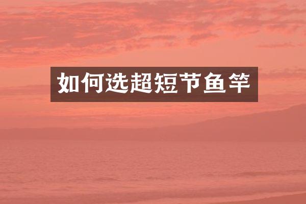 如何选超短节鱼竿
