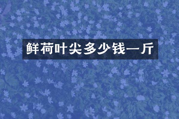 鲜荷叶尖多少钱一斤